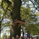 leerlingen bouwen steenuilenkast op de Brookschole 