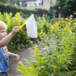 vergroening en meer biodiversiteit in Deventer 