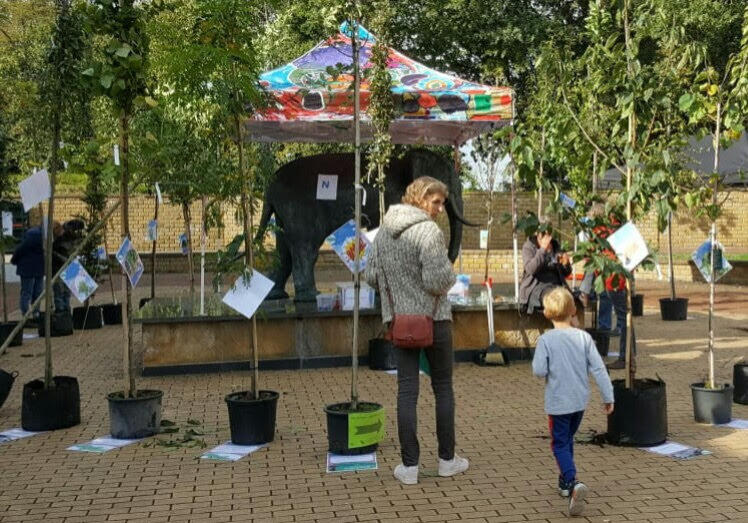 boomcirkel groene loper hof van twente bij beurs stappen zetten bij Dieka