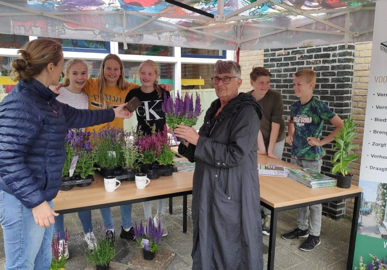 groep 8 petrusschool komt in actie tuintegel eruit plantje erin