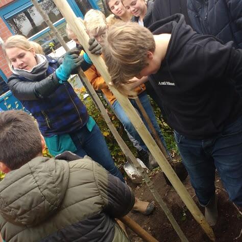 schoolklas helpt Merel van Bortel op Twickel College in Delden een krentenboom planten