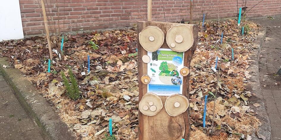 tuiny forest in Goor geplant door de stadslandbouw